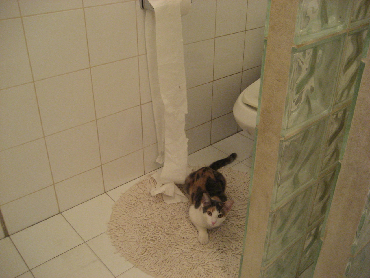 _冰壶运动正式列入冬奥会竞赛项目_，冰壶运动是冬奥会