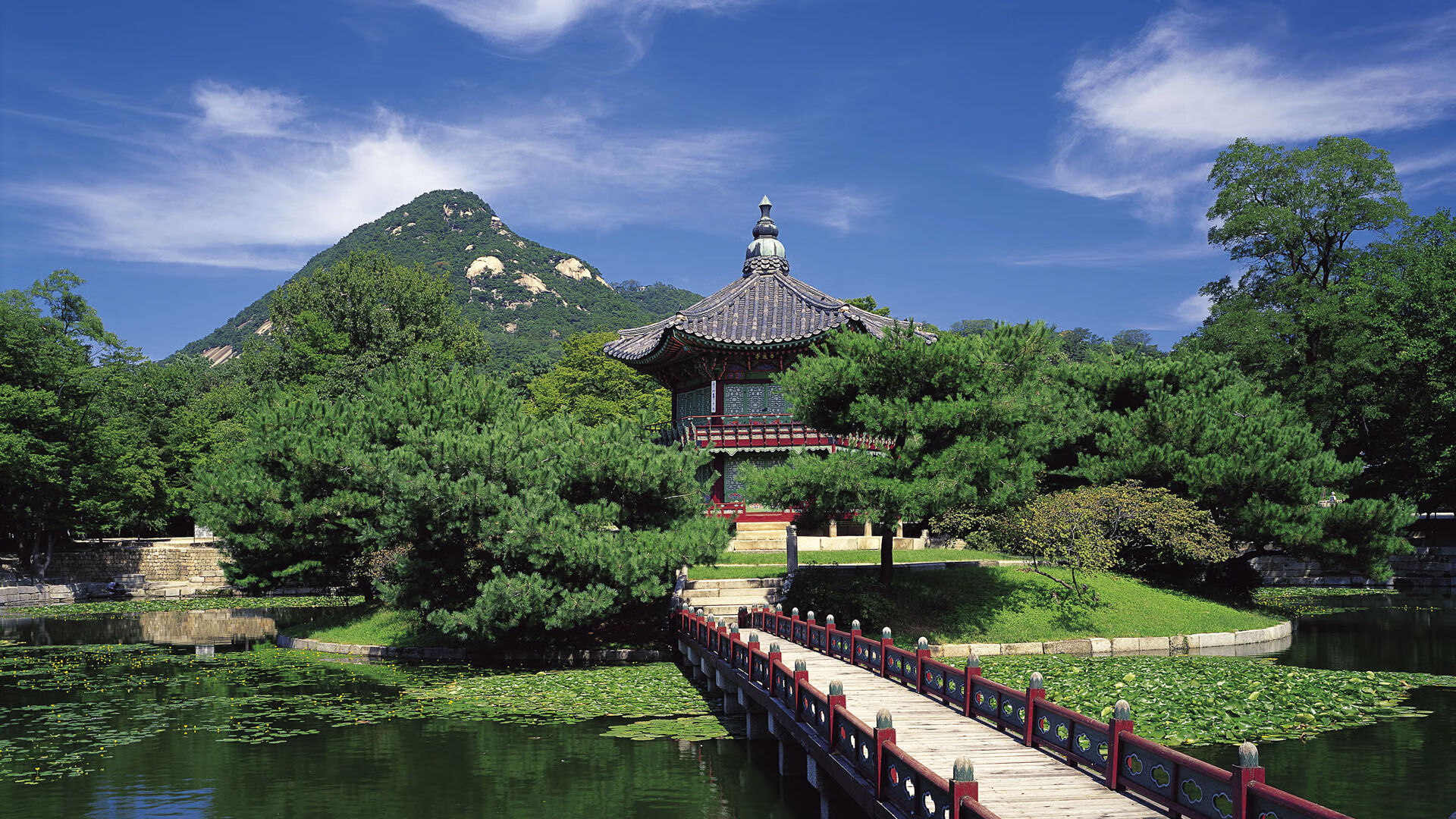 九游注册-_风筝飞行运动会：天空的自由舞者_，风筝飞舞作文