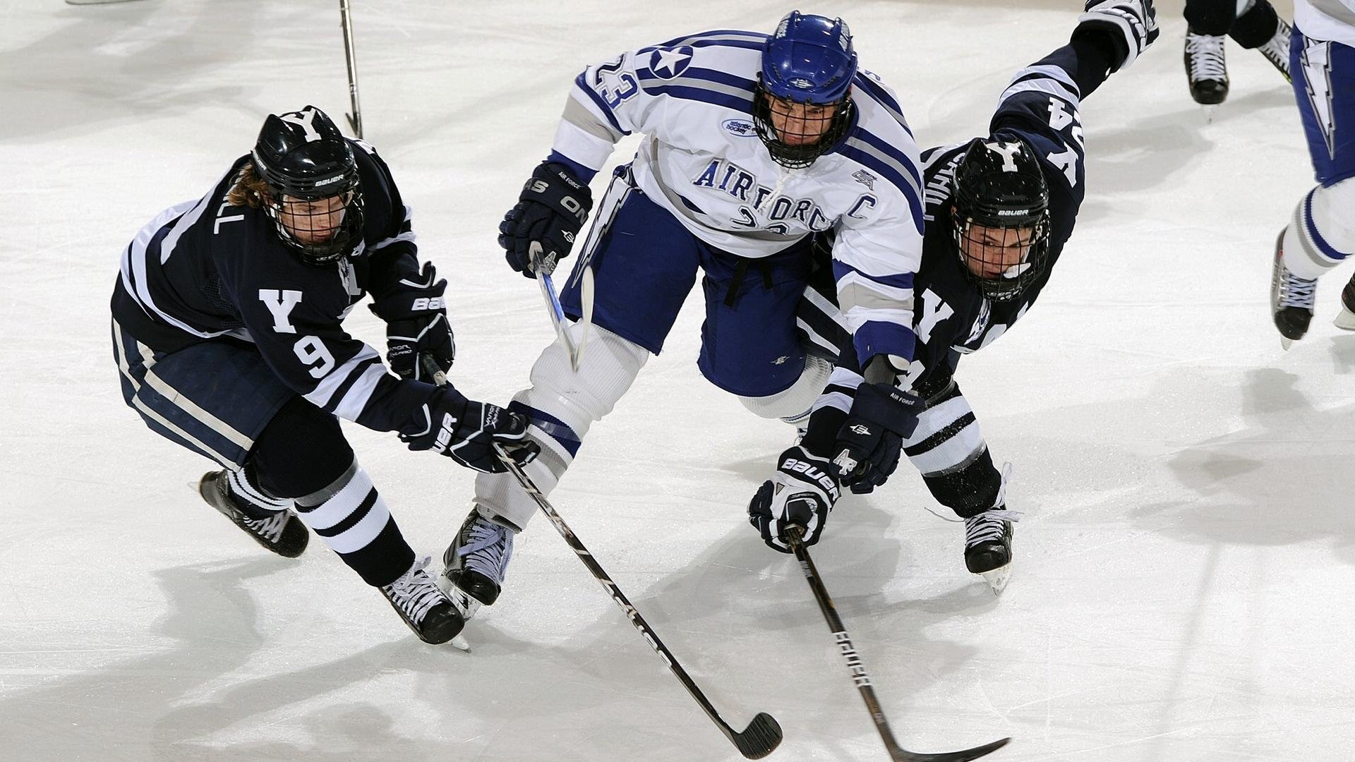 联盟引入统计公司,数据解读更加专业,什么是联盟单位